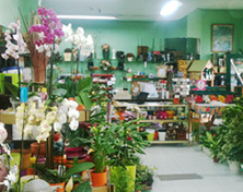 Floristería El Jardín tienda de flores